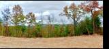 1200 Steer Creek Rd - Photo 7