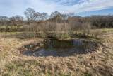 815 S Cross Bridges Rd - Photo 47