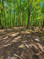 3612 Benders Ferry Rd - Photo 2