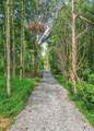 0 Flippen Rd - Photo 5