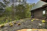 625 Cane Creek Mountain Road - Photo 76