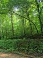0 Co Rd 462 - Photo 4