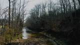 5463 Smiley Hollow Road - Photo 15