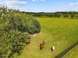5009 Native Pony Trl - Photo 61