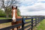 5009 Native Pony Trl - Photo 62