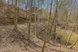 1736 Rafter Road - Photo 58