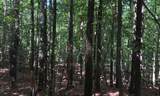 0 Hickory Nut Trl - Photo 5