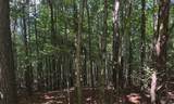 0 Hickory Nut Trl - Photo 6