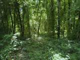 0 Wildwood Rd - Photo 9