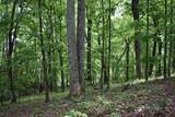 450 Hidden Forest Trail - Photo 22