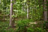 450 Hidden Forest Trail - Photo 33