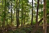 521 Norton Road - Photo 10