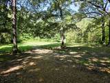 12225 Off Highway 79 N - Photo 15
