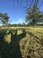 5002 Homer Worsham Rd - Photo 4