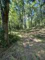 0 Horseshoe Bend Ln - Photo 6