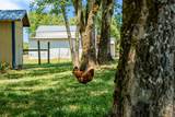 332 John Shaw Rd - Photo 57