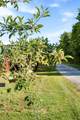 332 John Shaw Rd - Photo 72
