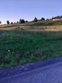 0 Collins Run - Photo 1