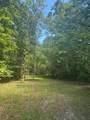 43 Bluffs Woods - Photo 2