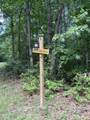 43 Bluffs Woods - Photo 11