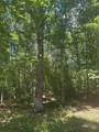 43 Bluffs Woods - Photo 13