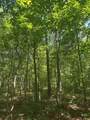 43 Bluffs Woods - Photo 14