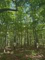 43 Bluffs Woods - Photo 15