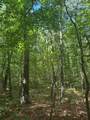 43 Bluffs Woods - Photo 16