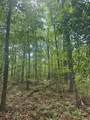 43 Bluffs Woods - Photo 17