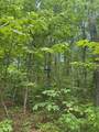 43 Bluffs Woods - Photo 18