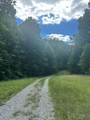 43 Bluffs Woods - Photo 19