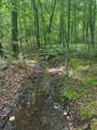 43 Bluffs Woods - Photo 3