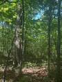 43 Bluffs Woods - Photo 4