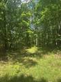 43 Bluffs Woods - Photo 5