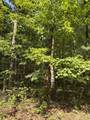 43 Bluffs Woods - Photo 8