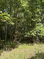 43 Bluffs Woods - Photo 10