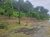 0 Old Jasper Road - Photo 4