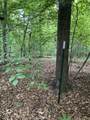 0 Fergus Ln - Photo 8