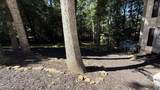 150 Rolling Wood Trail - Photo 46