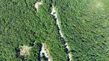 0 Coker Creek Trail - Photo 8