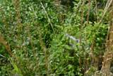 0 Circle Road - Photo 3