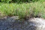 0 Circle Road - Photo 39