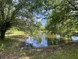 13431 New Highway 68 - Photo 39