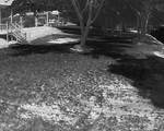 1067 Wc Pickett - Photo 39