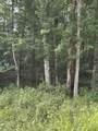 3031 Shawnee Rd - Photo 2