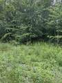 3119 Crow Dr - Photo 3
