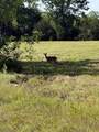 1988 Fayetteville Hwy - Photo 29