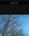 0 Forest Xing - Photo 11