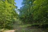 1343 Chalk Hollow Ln - Photo 30