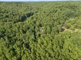 1343 Chalk Hollow Ln - Photo 42